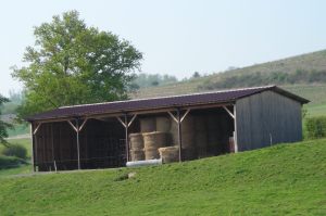 Belles limousines 4 Belles limousines 4