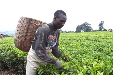 Le tourisme équitable grâce à Elans