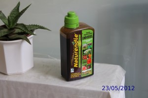 Expérience de culture hors-sol2 (1)