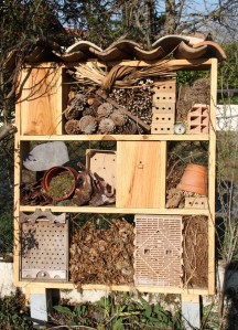 Réflexion sur la mise en place 2