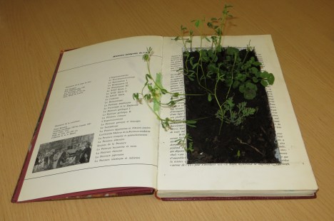 Arts, littérature et écologie6