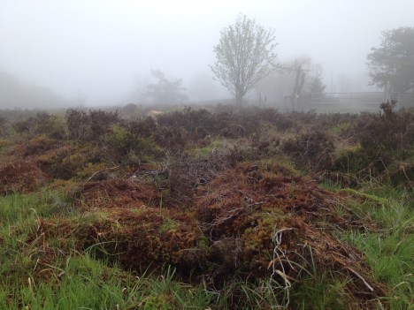 A la découverte des tourbières2