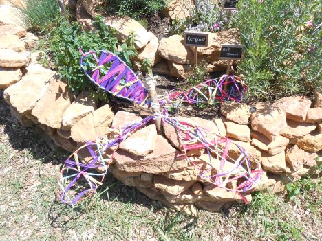 Création de land art 2