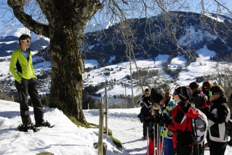 L’éducation au développement durable