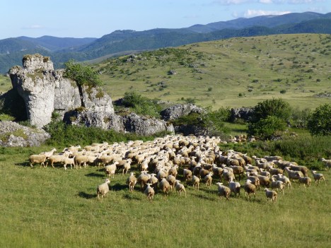 L’agropastoralisme