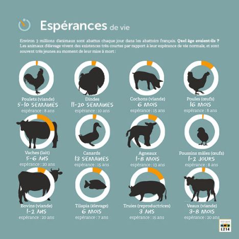 Dans la peau de vos 2