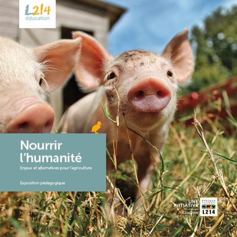 la faim dans le monde