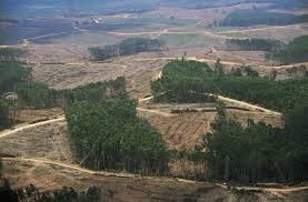 10 Photo 3 bio carburant