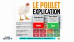 2 photo 8&nbsp;poulet