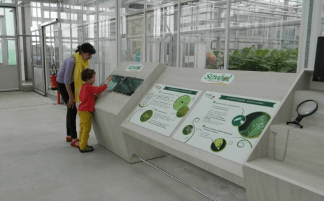 6 Photos 13 Insectes